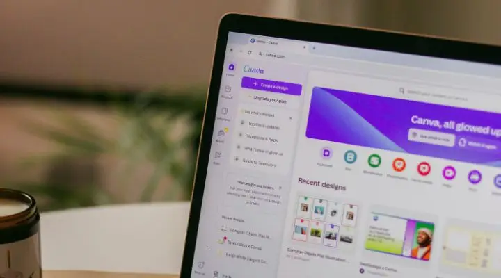 Sin creatividad, no hay paraíso