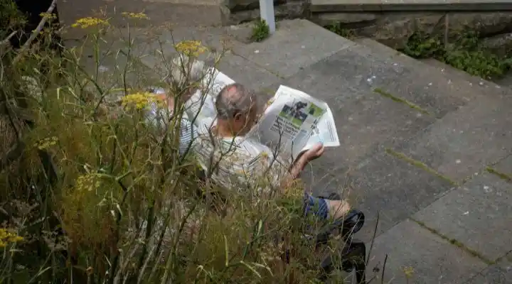 Todo lo que siempre quiso saber sobre el texto pero temía preguntar. Escritura creativa. Escritura ineludible