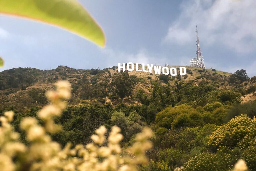 El cartel de Hollywood se alza majestuosamente en la cima de una colina.