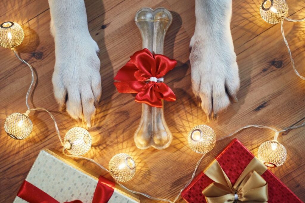 Las patas de un perro con un hueso frente a un árbol de Navidad para marketing navideño.