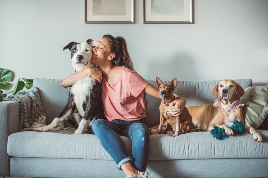 Una mujer disfruta de un cómodo momento en su sofá con sus queridos perros, rodeada de sus productos para mascotas elegidos.