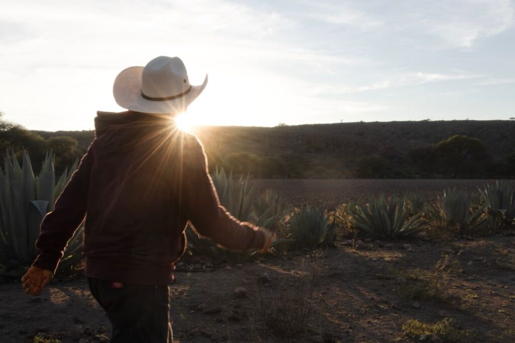 Descripción: Un hombre con un sombrero vaquero.