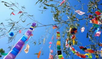 Decoraciones de papel coloridas cuelgan de las ramas de los árboles, creando una escena vibrante que recuerda el espíritu animado del Festival ElDorado, todo ello ambientado contra un cielo azul claro.