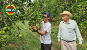 Campo Vivo líder en productos orgánicos impulsa 2025 sostenible