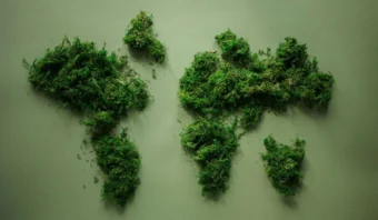 Más allá del check-in verde: 3 claves para que la hospitalidad comunique sostenibilidad auténtica