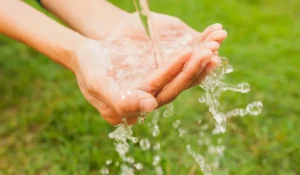 Tecate: primera planta HEINEKEN en reabastecer agua