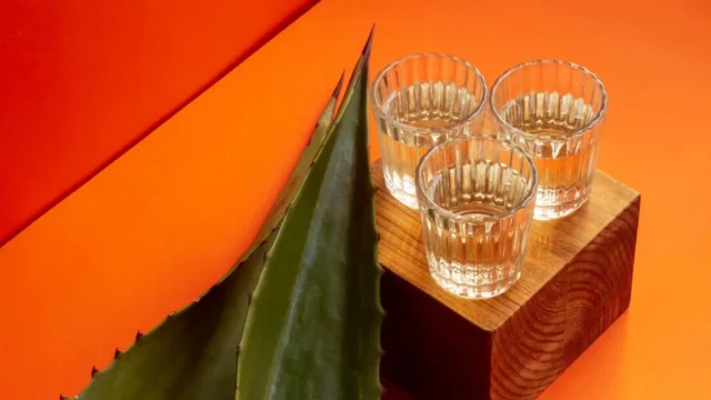 México sin tequila no es nuestro México... ¿de A-Cuervo?