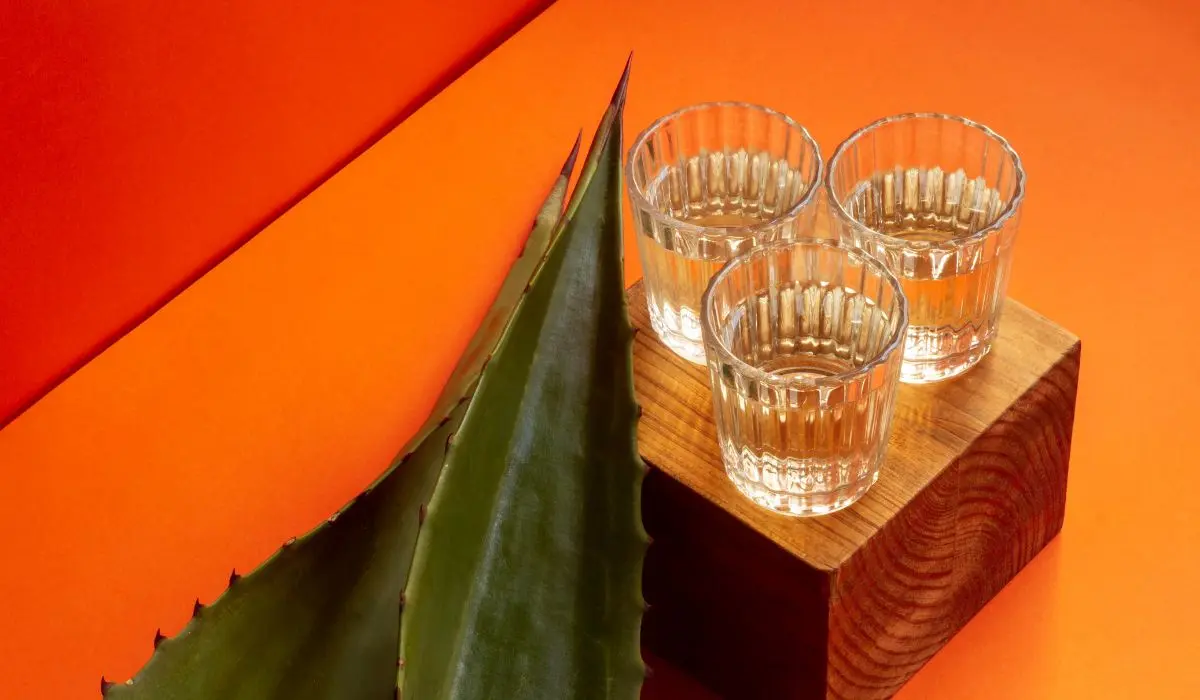 México sin tequila no es nuestro México... ¿de A-Cuervo?