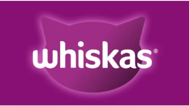 Nutrición felina: cómo Whiskas ha transformado la alimentación de los gatos