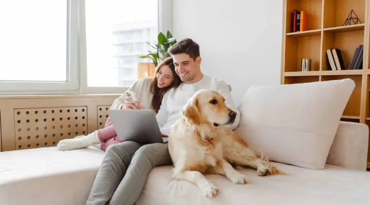 Una pareja en México se sienta en un sofá con una computadora portátil, sonriendo a un teléfono, mientras su golden retriever descansa junto a ellos, disfrutando de la flexibilidad de un modelo híbrido.