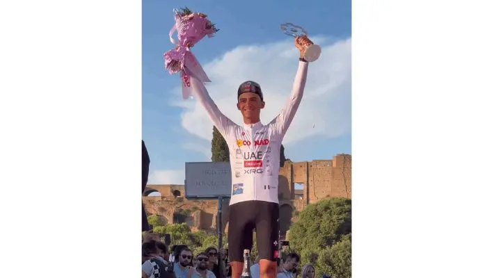 El torito de meÌxico