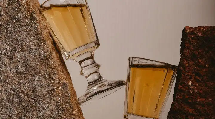 Tecate: primera planta HEINEKEN en reabastecer agua