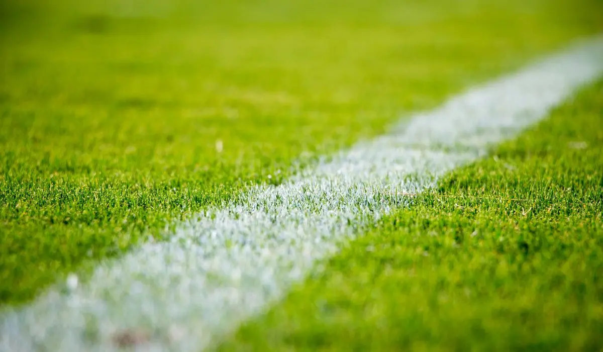 Qué es el ambush marketing y cómo usarlo en el Mundial